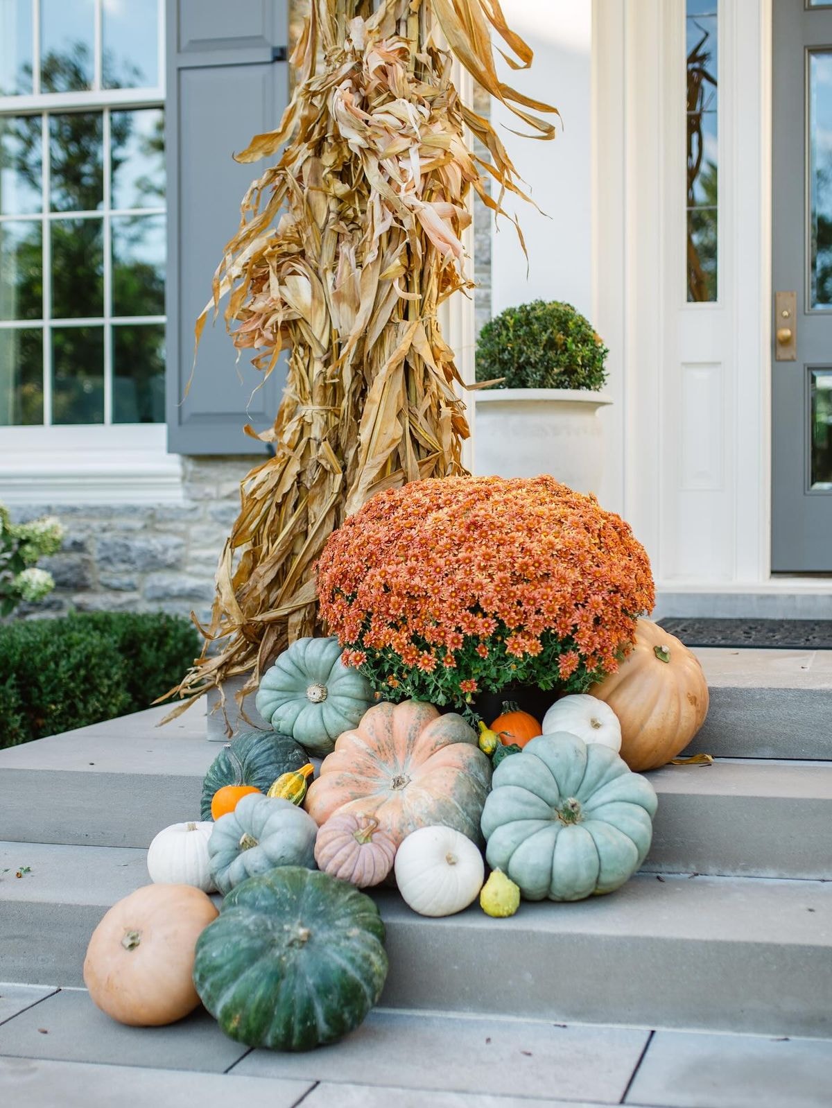 Fall porch display with corn stalks, orange mums, and heirloom pumpkins on stone steps