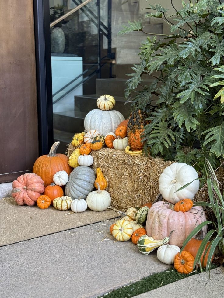 Tropical fall entryway with hay bale, heirloom pumpkins, and monstera plants