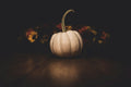 Medium white pumpkin
