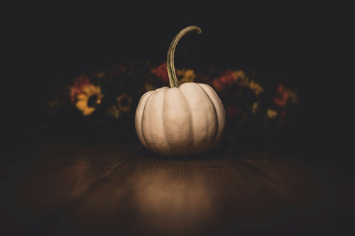 Medium white pumpkin