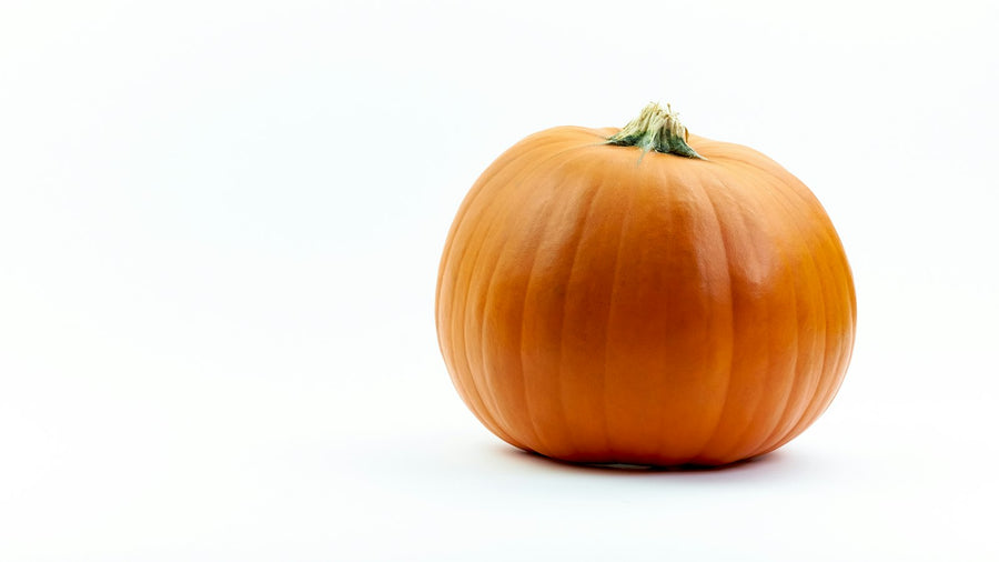 Large specialty pumpkin