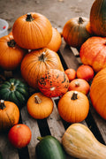 Assortment of mini pumpkins and gourds